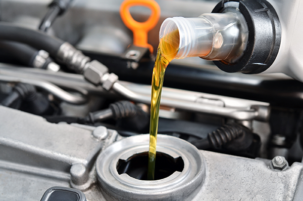 oil Oil